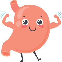 Strong healthy stomach character. Human organ mascot