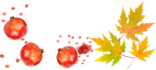 Pomegranate fruit and autumn maple leaves isolated on white. Free space for text. Wide photo. Collage.