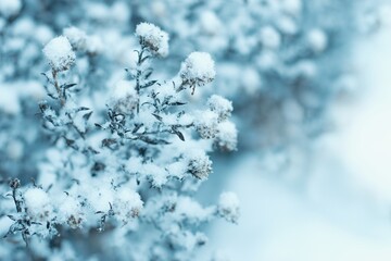 Beautiful winter scenery with frozen plants in the garden