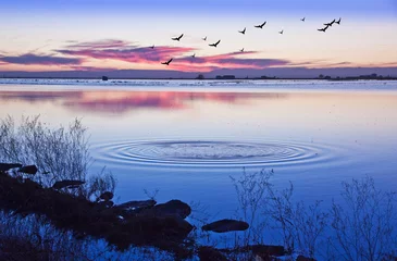 Fototapeten paisaje de un lago al amanecer © kesipun
