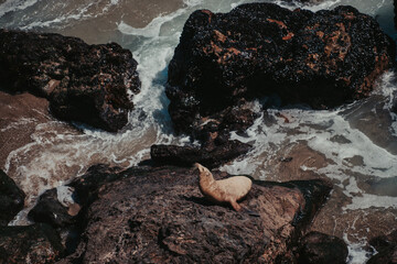 Malibu, California, Point Dume