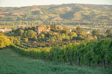 Fototapeta na wymiar Castelvetro Levizzano Green hills, olive gardens and small vineyard under rays of afternoon Autumn sun - stock photo