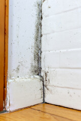 Condensation mold in a corner of the wall near the window frame.