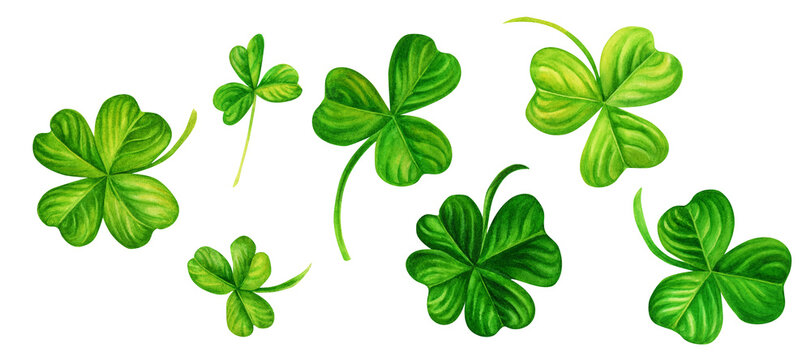Watercolor hand drawn shamrock set for St. Patrick's Day for good luck. Element isolated on white background