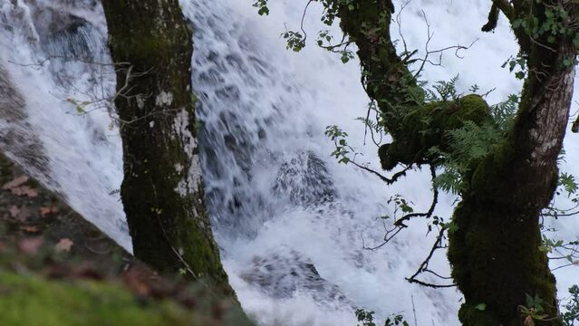 4k vídeo. Slow motion gran cascada de agua entre los árboles en la naturaleza