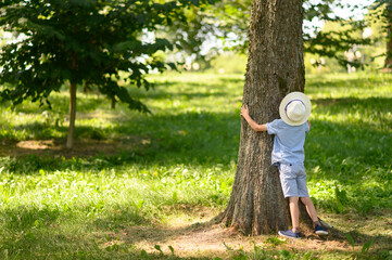 A child hugs a tree in the park on a sunny day. Relaxation in nature. The concept of love for nature, warming problems, air quality. 