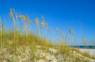 Fototapeta premium October in Orange Beach, Alabama