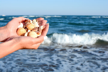 Beautiful seashells in the hands of a young girl on the background of the blue sea with waves