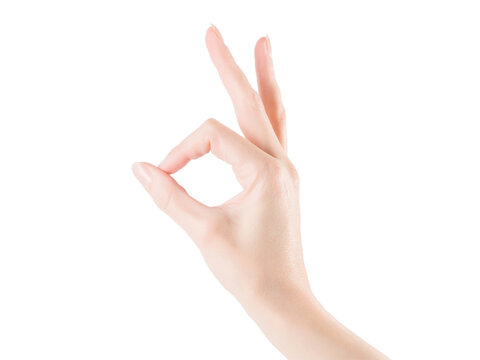 Woman Hand Showing Okay Or Zero Gesture. Isolated Png With Transparency