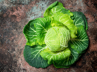 Obraz premium Juicy green cabbage.