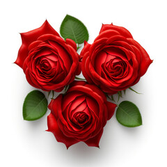 Red rose flowers isolated on white background. Generative AI
