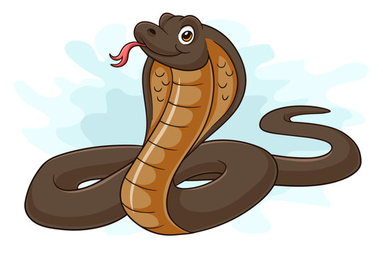 Cartoon funny cobra snake isolated on white background