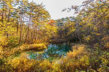 秋の五色沼湖沼群 赤沼

