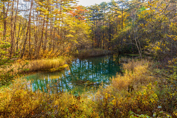 秋の五色沼湖沼群 赤沼
