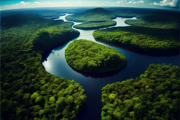 Foto op Aluminium Aerial View of the Amazon Rainforest, generative AI © Thumbs
