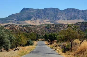 Carretera en la Sierra de las Nieves