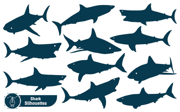 Vector collection of animal shark silhouette in different poses