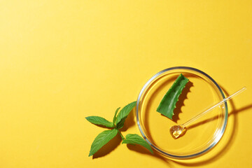 Petri dish and plants on yellow background, flat lay. Space for text