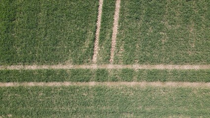 Tractor tracks on a field