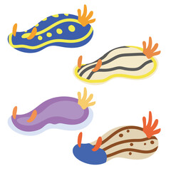 シンプルなウミウシ全身