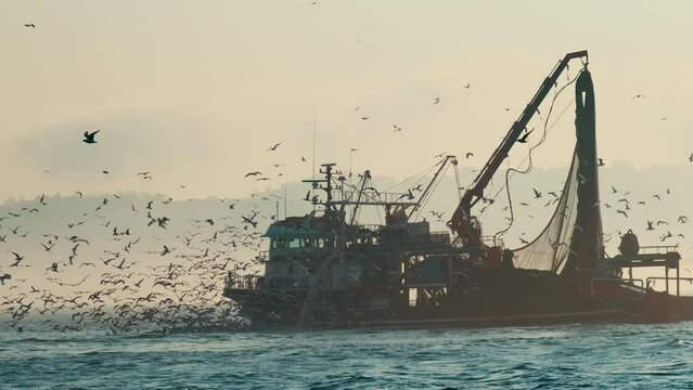 A trawler or fishing boat at sea is fishing with lots of seagulls in the sky.