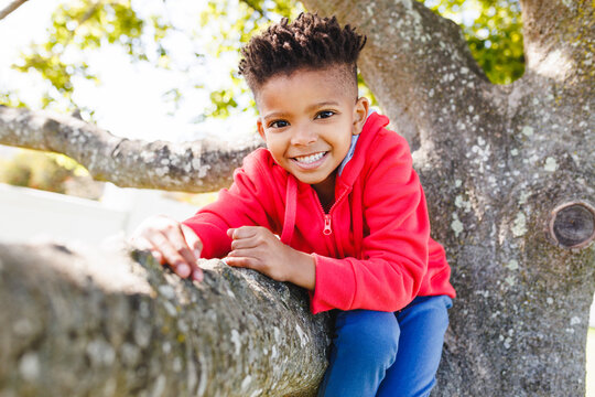 Portrait of happy african american boy sitting on tree in backyard