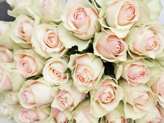 Obraz na płótnie Canvas Close up of white roses natural floral background copy space
