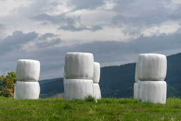 Haylage bales wrapped in white foil will provide food for farm animals during the winter. A green...