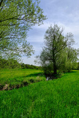 Obraz premium Die Baunachaue bei Pfarrweisach, Naturpark Haßberge, Landkreis Haßberge, Unterfranken, Franken, Bayern, Deutschland