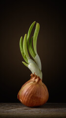 onion with green sprouts stands vertically on a cutting board on a soft brown background with light spot. moody artistic rustic style photo