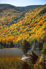 Fall Foliage at Beaver Pond along the Kancamagus Highway NH