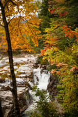 Fall Foliage details along Kancamagus Highway in New Hampshire