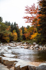 Fall Foliage details along Kancamagus Highway in New Hampshire
