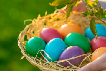 Fototapeta na wymiar Easter Egg Hunt. multicolored eggs in a wicker bowl