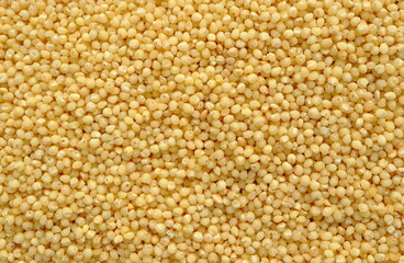 Close-up macro shot of the millet grains lying on a flat surface.
