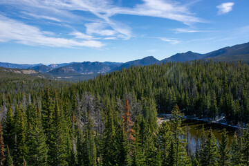 Obraz na płótnie Canvas Rocky Mountain Forest Views