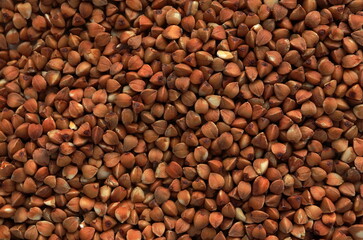 Close-up macro shot of the dry brown buckwheat seeds lying on a flat surface.