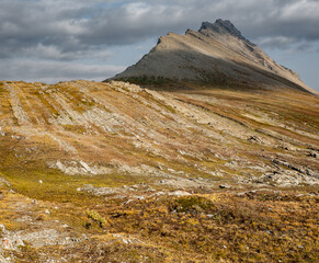 Fototapeta na wymiar Wilcox ridge trail, Banff NP Canada