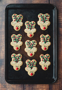 Baking tray of reindeer shaped gingerbread cookies for Christmas.