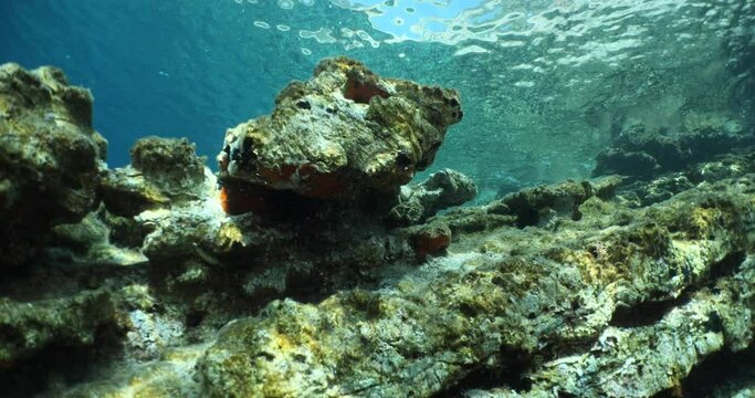  sun reflections underwater ocean scenery holidays shallow water shining stones