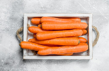 Fresh carrot on the tray.