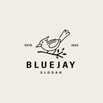 vintage Blue jay bird vector icon illustration logo design 2