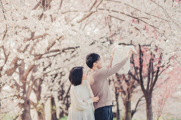 Obraz na płótnie Canvas 桜と赤ちゃんを待つ夫婦 