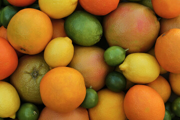 Different fresh citrus fruits as background, top view