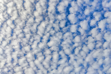 Blue Sky and white cloud white background.