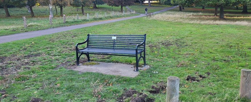 United Kingdom, Nottingham, Wollaton Park, Bench (4000 x 1638)