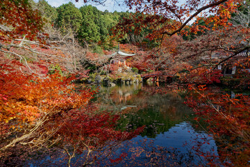 池にに映る紅葉の醍醐寺弁天堂