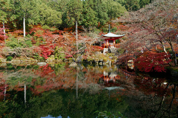 Naklejka premium 池にに映る紅葉の醍醐寺弁天堂