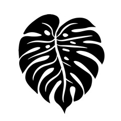  Adam's Rib Leaf. Monstera holed leaf illustration isolated on transparent PNG