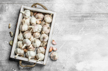 Fresh garlic in the tray.